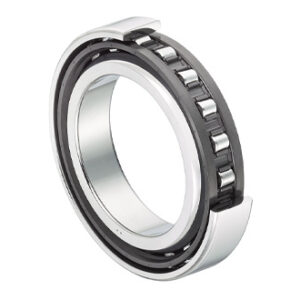 Cylindrical Roller Bearings